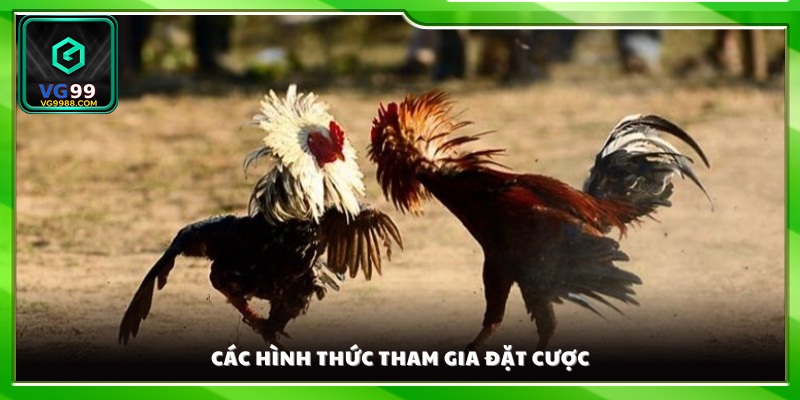 Những loại kèo và cách thức đặt cược